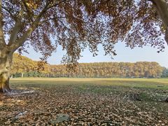 -河南省黄河迎宾馆