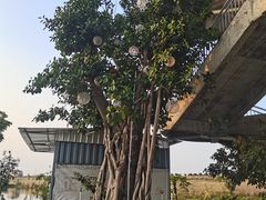 -正嘢私房菜