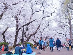 -井之头恩赐公园