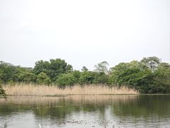 -盘龙城国家考古遗址公园