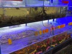-辣螃铠盆盆蟹大排档(海昌店)