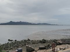 -深圳湾公园(南山区)
