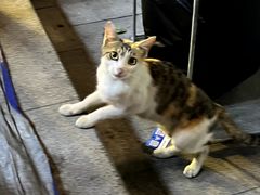 -储奇门鳝鱼火锅(总店)