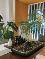 -太乙康·中式美养空间