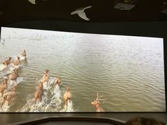 -中国湿地博物馆