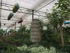 -南宫五洲植物乐园