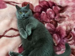 -三福(骡马市步行街店)