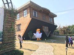 -金山农民画村-枫泾波兰倒置屋