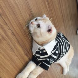 iphone_upload_pic-EasyLady美甲沙龙