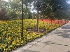 -上海市龙华烈士陵园