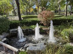 -南宫五洲植物乐园