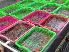 -众味海鲜大排档·活海鲜·潮汕味(南澳店)
