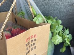-甜心庄园·甜心草莓采摘园(西青中北店)