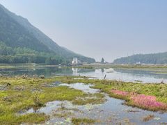 -腾冲北海湿地