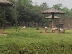 -杭州野生动物世界