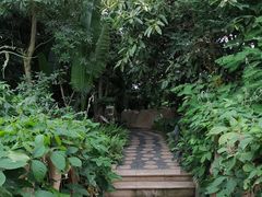 -南山植物园
