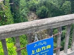 -南海湾森林生态园
