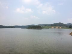 -美的鹭湖森林度假区