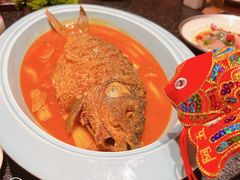 红烧黄河鲤鱼-阿五黄河大鲤鱼(建业路店)