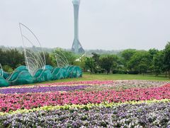 -沈阳植物园