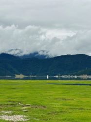 -纳帕海依拉草原