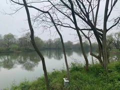-木守西溪溪隐餐厅