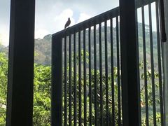 -星河湾温泉洗浴酒店