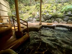 -有马温泉 竹取亭円山温泉旅馆