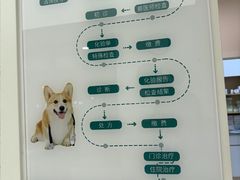 -瑞派康怡24h宠物医院·犬猫医疗中心·微创绝育(瑞景分院)