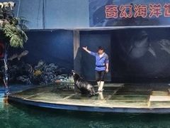-苏州海洋馆