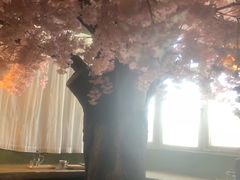 -猫猫幼稚园·撸猫·桌游·电玩