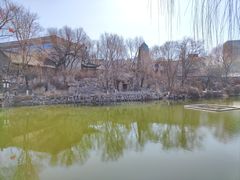 -文瀛公园