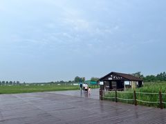 -盐城丹顶鹤湿地生态旅游区