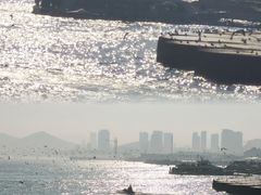 -星海广场