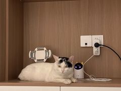 -天宠宠物医院24小时·急重症诊疗中心·全科·腔镜特色(和平分院)