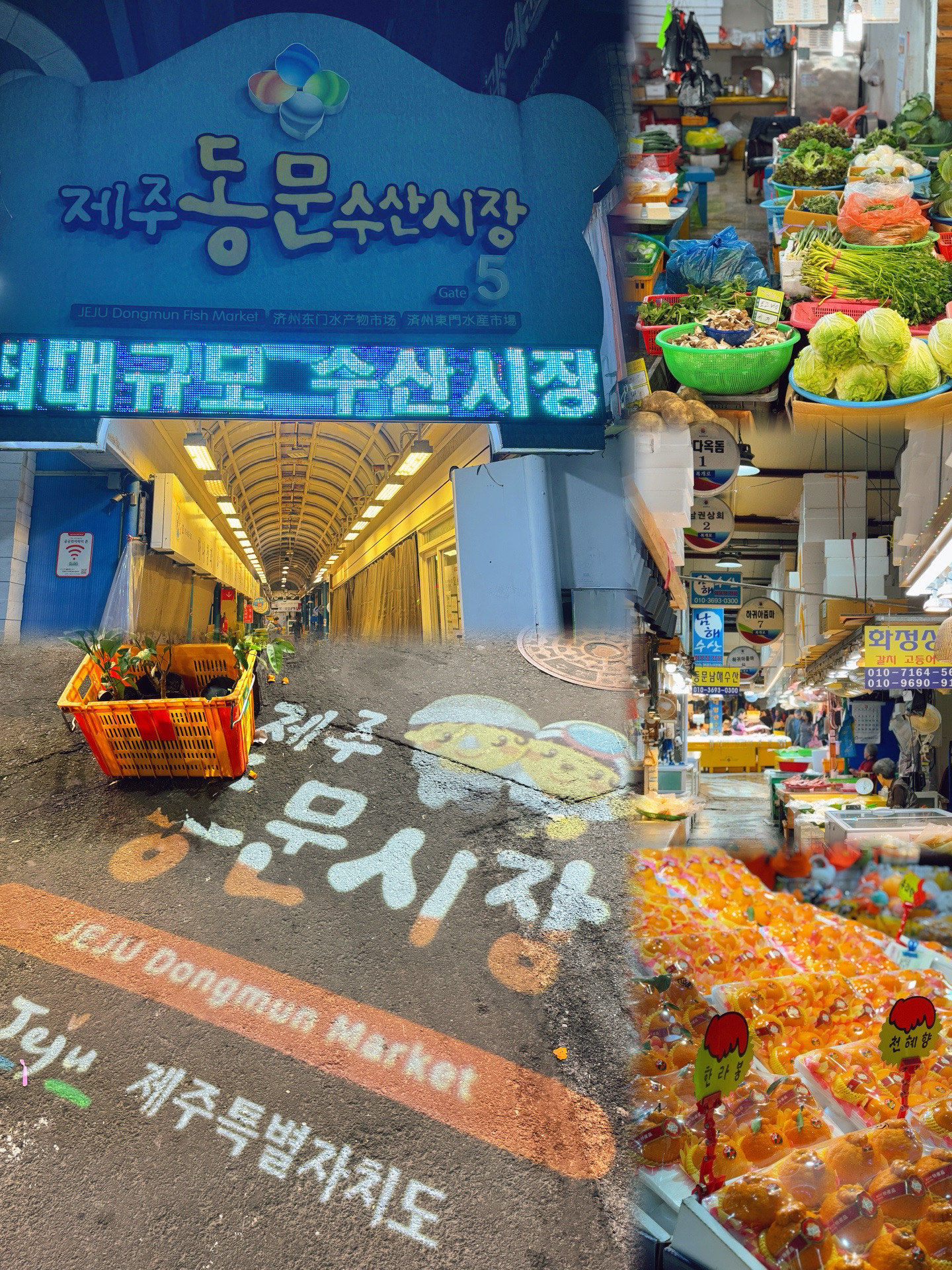 9693济州岛|东门传统市场,好吃的好喝的多多