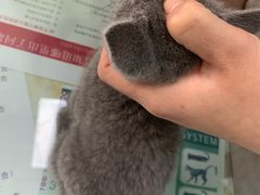 -百信宠物医院(东升街店)