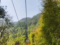 -缙云山景区
