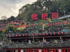 -枇杷园食为鲜火锅(南山店)