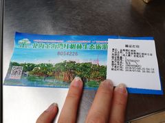 -北海金海湾红树林生态旅游区