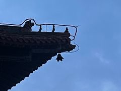 -白羊坡
