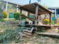 -大连森林动物园