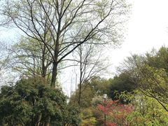 -杭州黄龙洞