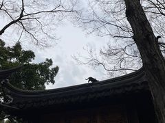 -寒山寺