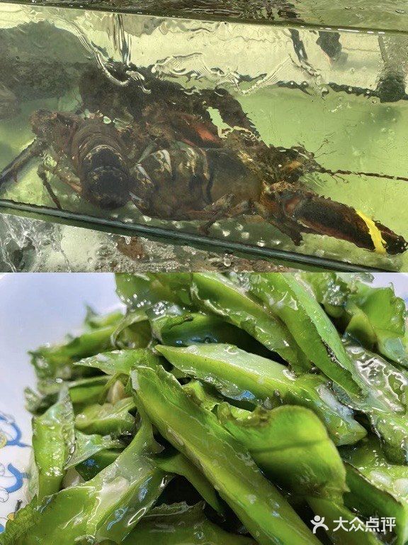 补充能量的海鲜店铺-小海豚海鲜