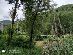 -云岫谷自然风景区