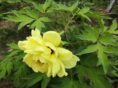 -合肥三国新城遗址公园