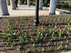 -长春公园(普阳街道)