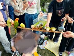 -二沙岛艺术公园