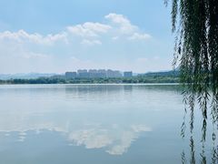 -济南国际园博园